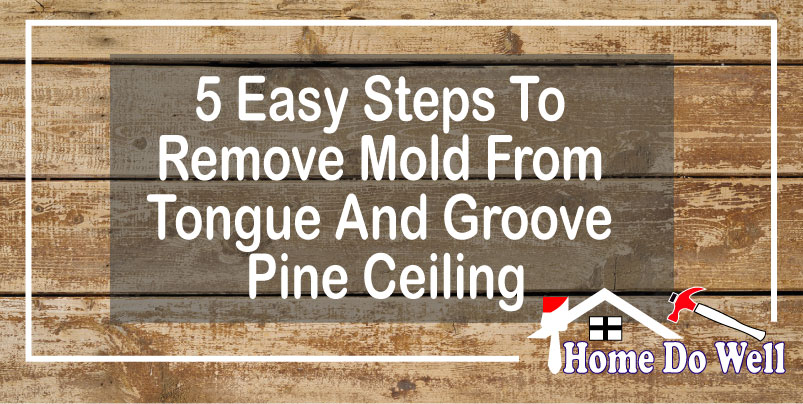 5 Easy Steps To Remove Mold From Tongue And Groove Pine Ceiling